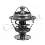 CALORSTAT by Vernet Thermostat, Kühlmittel