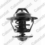 CALORSTAT by Vernet Thermostat, Kühlmittel
