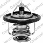CALORSTAT by Vernet Thermostat, Kühlmittel