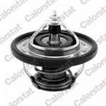 CALORSTAT by Vernet Thermostat, Kühlmittel