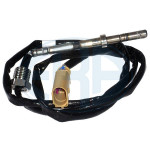 ERA Sensor, Abgastemperatur