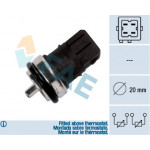 FAE Sensor, Kühlmitteltemperatur