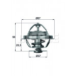 MAHLE Thermostat, Kühlmittel