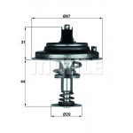 MAHLE Thermostat, Kühlmittel