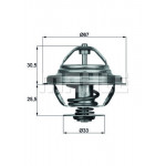 MAHLE Thermostat, Kühlmittel