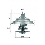 MAHLE Thermostat, Kühlmittel