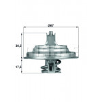 MAHLE Thermostat, Kühlmittel
