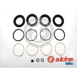 AUTOFREN SEINSA Reparatursatz, Bremssattel