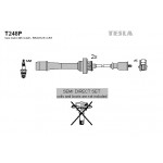 TESLA Zündleitungssatz