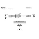 TESLA Zündleitungssatz