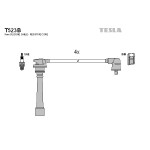 TESLA Zündleitungssatz