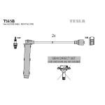 TESLA Zündleitungssatz