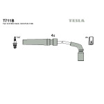 TESLA Zündleitungssatz