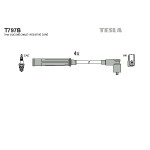 TESLA Zündleitungssatz