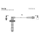 TESLA Zündleitungssatz