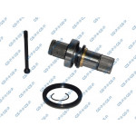 GSP Steckwelle, Differential