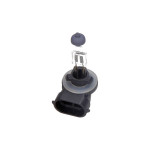 MAXGEAR Glühlampe, Nebelscheinwerfer
