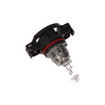 MAXGEAR Glühlampe, Rückfahrleuchte