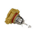 MAXGEAR Glühlampe, Blinkleuchte