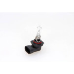MAXGEAR Glühlampe, Hauptscheinwerfer
