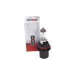 MAXGEAR Glühlampe, Hauptscheinwerfer