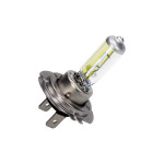 MAXGEAR Glühlampe, Hauptscheinwerfer