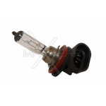 MAXGEAR Glühlampe, Hauptscheinwerfer