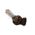 MAXGEAR Glühlampe, Hauptscheinwerfer