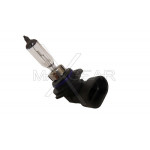MAXGEAR Glühlampe, Hauptscheinwerfer
