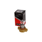 MAXGEAR Glühlampe, Blinkleuchte