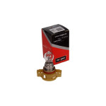 MAXGEAR Glühlampe, Blinkleuchte
