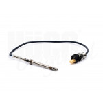 HITACHI Sensor, Abgastemperatur