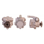 DRI Hydraulikpumpe, Lenkung