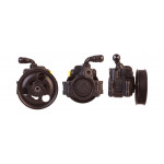 DRI Hydraulikpumpe, Lenkung