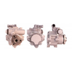 DRI Hydraulikpumpe, Lenkung