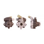 DRI Hydraulikpumpe, Lenkung