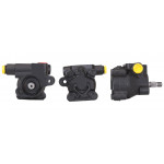 DRI Hydraulikpumpe, Lenkung