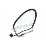 VEGAZ Sensor, Abgastemperatur