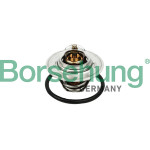 Borsehung Thermostat, Kühlmittel