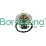 Borsehung Thermostat, Kühlmittel