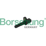 Borsehung Sensor, Ansauglufttemperatur