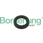 Borsehung Wellendichtring, Nockenwelle