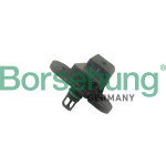 Borsehung Sensor, Ladedruck