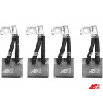 AS-PL Kohlebürste, Starter