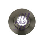 FAST Bremsscheibe