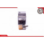 ESEN SKV Sensor, Kraftstoffdruck