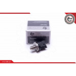 ESEN SKV Sensor, Kraftstoffdruck