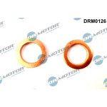 Dr.Motor Automotive Dichtung, Lader