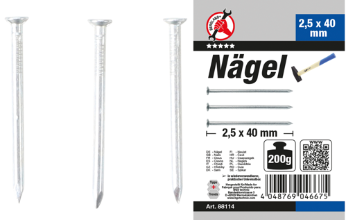 BGS Nägel-Sortiment | 200 g | 2,5 x 40 mm