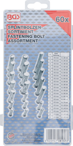 BGS Sicherungsbolzen-Sortiment | 60-tlg.